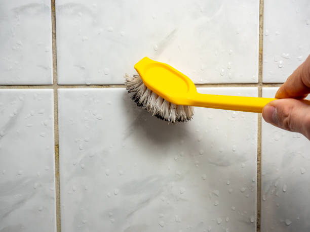 Best Mold Testing  in Glen Gardner, NJ