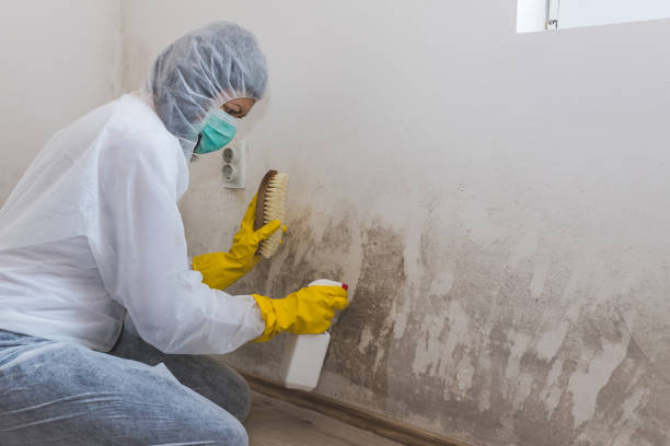 Best Crawl Space Mold Removal  in Glen Gardner, NJ