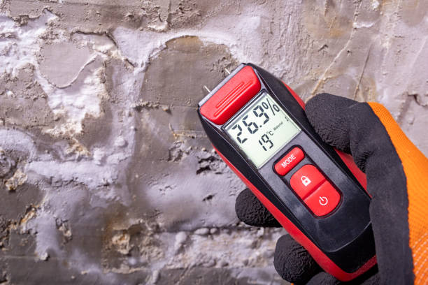 Best Mold Damage Repair  in Glen Gardner, NJ