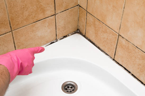 Best Mold Remediation  in Glen Gardner, NJ